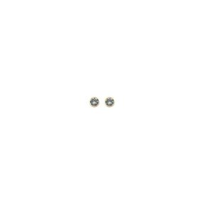 Black Diamond Basis Crystal Oorstuds Goud 82341