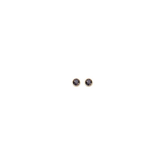 Black Patina Basis Crystal Oorstuds Goud 82341 Black Patina Basis Crystal Oorstuds Goud 82341