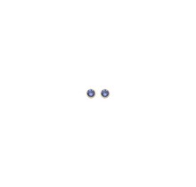 Sapphire Basis Crystal Oorstuds Goud 82341