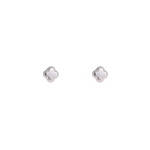Clover Stud Zilver Oorbellen E4803-1