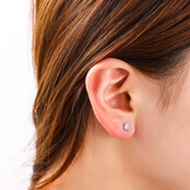 Clover Stud Zilver Oorbellen E4803-1