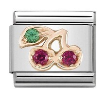 Nomination Link Rosékleurig - 430305-17 - Classic SYMBOLS IN STAINLESS STEEL WITH 9K ROSE GOLD AND CZ - Cherry with Stones