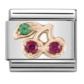 Nomination Link Rosékleurig - 430305-17 - Classic SYMBOLS IN STAINLESS STEEL WITH 9K ROSE GOLD AND CZ - Cherry with Stones