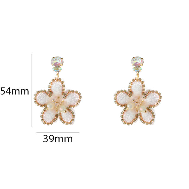 Day & Eve Oorbel E5123-1