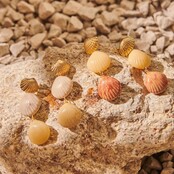 Mer Drie Schelpen Oorstekers 84220Mix02 Mer Drie Schelpen Oorstekers 84220Mix02