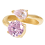 iXXXi Fame Fame Precious Rose