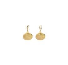 Sea Inspiration Oorbellen 84171-G