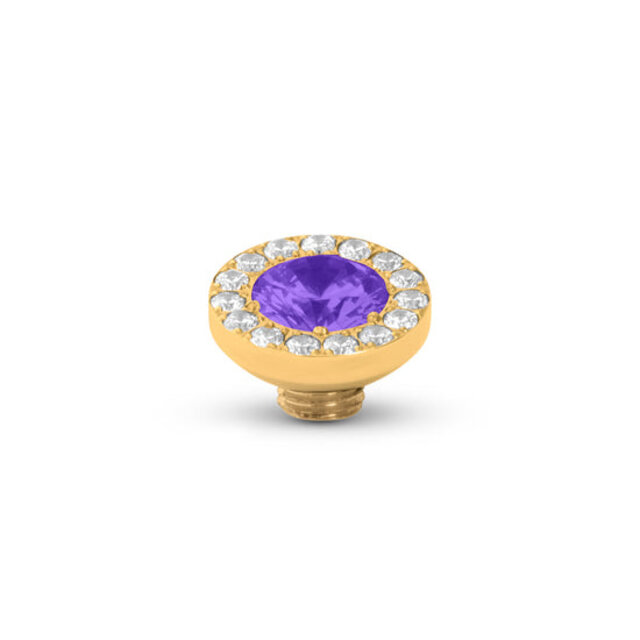 Vivid Fruity Shimmer Steentje Violet