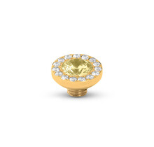 Vivid Fruity Shimmer Steentje Lemon