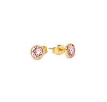 Friends Mabel CZ Oorbellen Pink