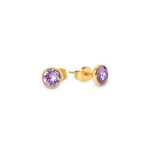 Friends Mabel CZ Oorbellen Tanzanite