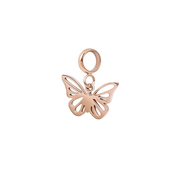 Bedel Butterfly