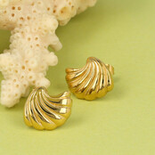 Zonovergoten Schelp Oorstekers