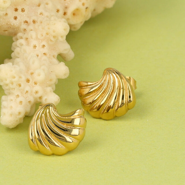 Zonovergoten Schelp Oorstekers