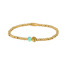 Amazonite Schelp Armband met Gouden Kralen