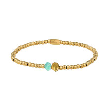 Amazonite Schelp Armband met Gouden Kralen