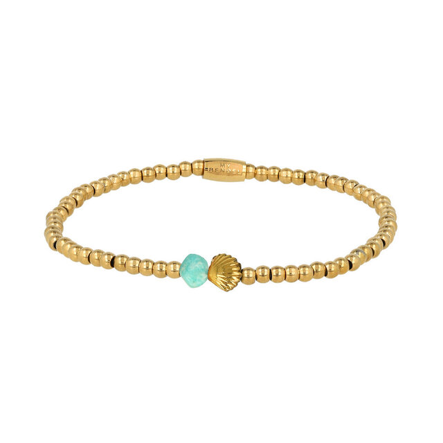 Amazonite Schelp Armband met Gouden Kralen