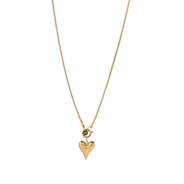 Heart Pendant Necklace N56080-2