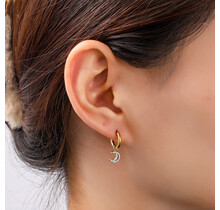 Sparkle Moon Hoop Oorbellen E56426-2