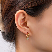 Sparkle Moon Hoop Oorbellen E56426-2