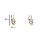 French Hook Big Oval Oorbellen E56380-1 French Hook Big Oval Oorbellen E56380-1