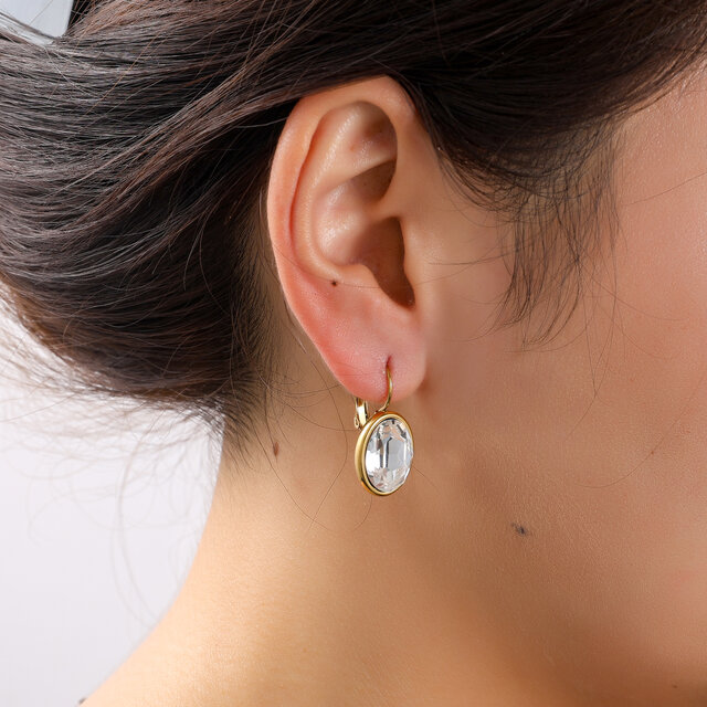 French Hook Big Oval Oorbellen E56380-1 French Hook Big Oval Oorbellen E56380-1