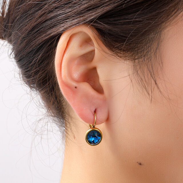 French Hook Oval Oorbellen E56377-3 French Hook Oval Oorbellen E56377-3