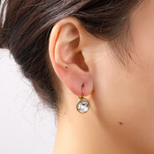 French Hook Oval oorbellen E56377-1 French Hook Oval oorbellen E56377-1