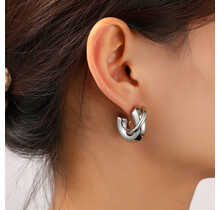 Small Double Hollow Hoop Oorbellen E56231-1