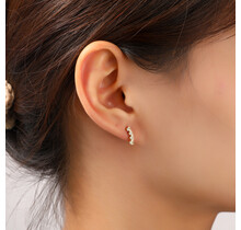 Sparkly Heart Stud Oorbellen E56187-2