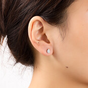 Sparkle Drop Stud Oorbellen E56167-1 Sparkle Drop Stud Oorbellen E56167-1