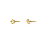 Tiny Flower Stud Oorbellen E56153-2 Tiny Flower Stud Oorbellen E56153-2