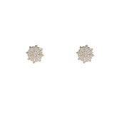 Sparkle Stud Goldplated Oorbellen E55091-2 Sparkle Stud Goldplated Oorbellen E55091-2