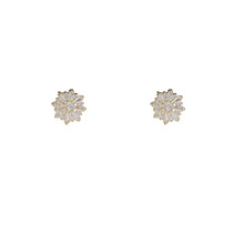 Sparkle Stud Goldplated Oorbellen E55091-2