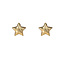 Day & Eve by Go Dutch Label Star Stud Goldplated Oorbellen E55072-2