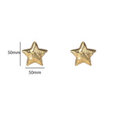 Star Stud Goldplated Oorbellen E55072-2 Star Stud Goldplated Oorbellen E55072-2