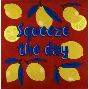 Tegeltje squeeze the day rood/multi