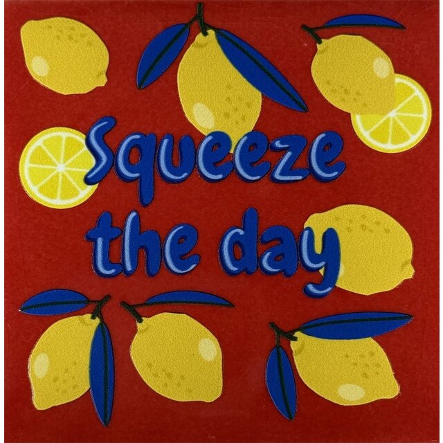 Tegeltje squeeze the day rood/multi