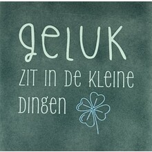 Tegeltje geluk zit in de kleine dingen zeegroen/lichtgroen