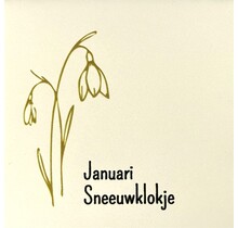 Tegeltje geboortetegel januari creme/goud(zwart)