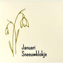 Tegeltje geboortetegel januari creme/goud(zwart)