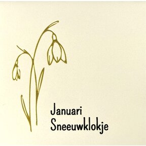 Tegeltje geboortetegel januari creme/goud(zwart)