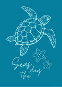 Wenskaart Seas the day