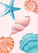 Wenskaart Seashells
