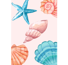 Wenskaart Seashells