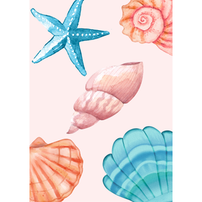 Wenskaart Seashells