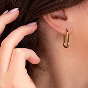 Friends Lila Oorbellen