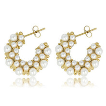 Luxe Oorbellen met Stralende Witte Parels