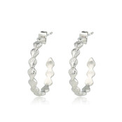 Zomerse Oorsteker met Schelpen