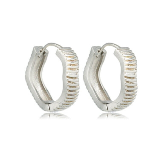 Stralende Oorringen met Elegante Ribbels